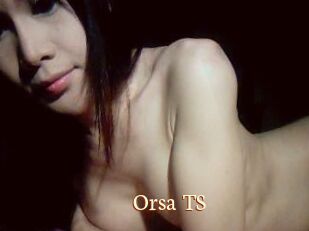 Orsa_TS