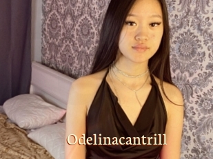 Odelinacantrill