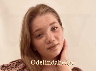 Odelindahedge