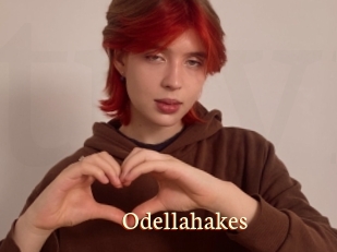 Odellahakes