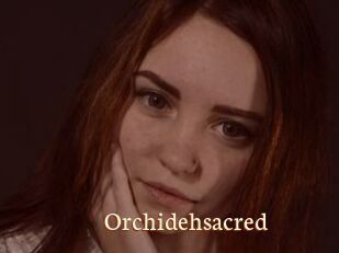 Orchidehsacred