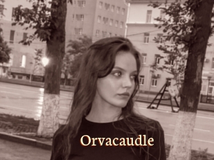 Orvacaudle