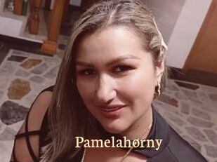 Pamelahorny