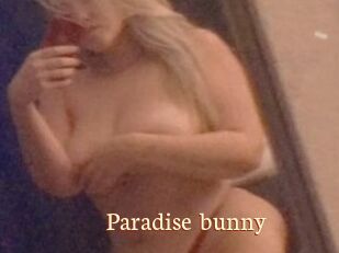 Paradise_bunny