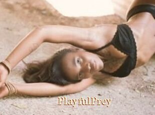 PlayfulPrey