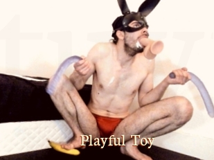 Playful_Toy