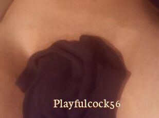 Playfulcock56