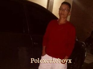 Polexcuteboyx