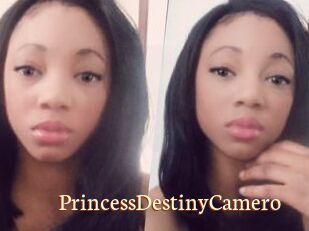 PrincessDestinyCamero