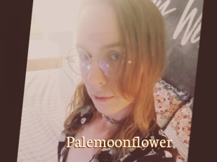 Palemoonflower