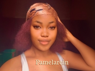 Pamelarein