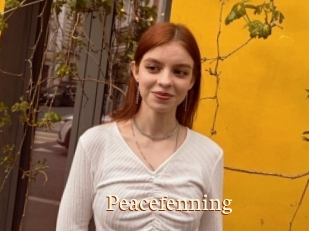 Peacefenning