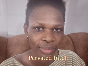 Pervated_bitch