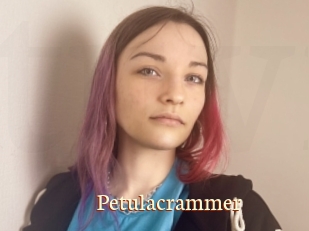 Petulacrammer