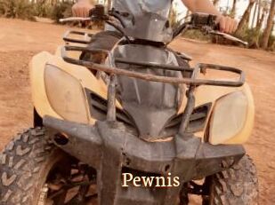 Pewnis