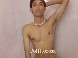 Pollitorosa