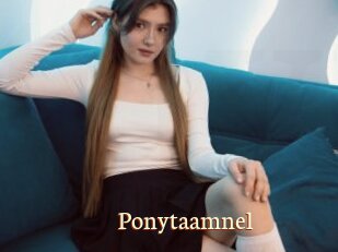 Ponytaamnel