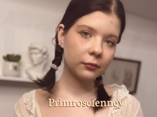 Primrosefenney