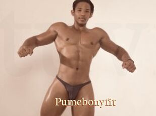 Pumebonyfit