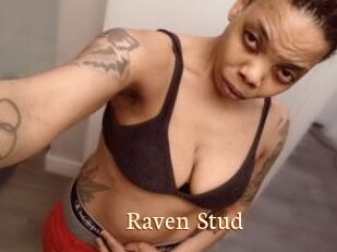 Raven_Stud