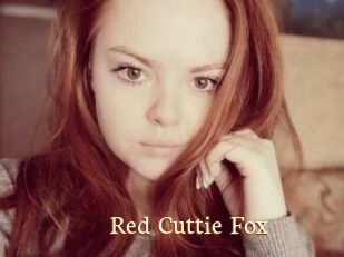 Red_Cuttie_Fox