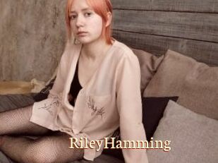 RileyHamming