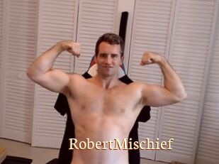 RobertMischief