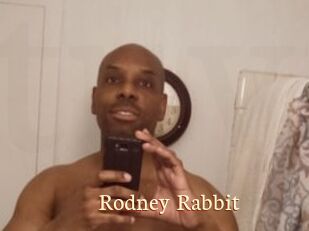 Rodney_Rabbit