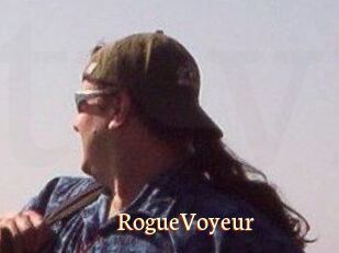 RogueVoyeur