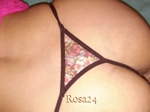 Rosa24