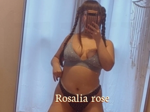 Rosalia_rose