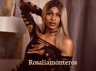 Rosaliamonteros