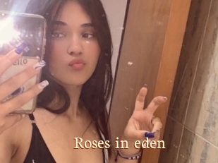 Roses_in_eden