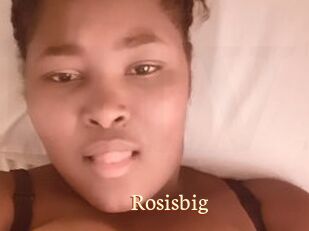 Rosisbig