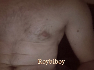 Roybiboy