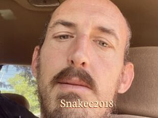 Snakec2018