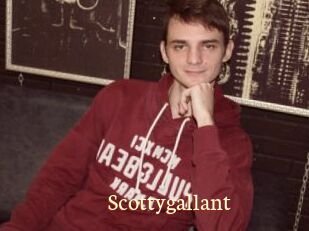 Scottygallant