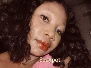 Secypot