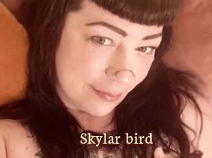 Skylar_bird