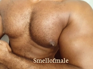 Smellofmale