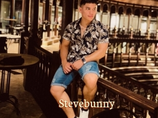 Stevebunny