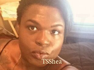 TS_Shea