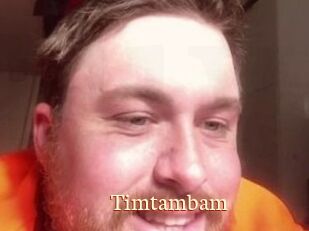 Timtambam