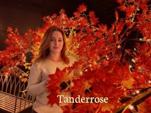 Tanderrose