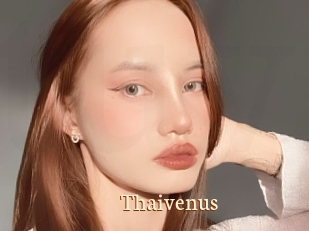 Thaivenus