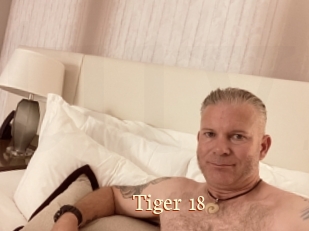 Tiger_18