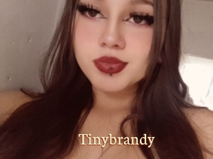 Tinybrandy