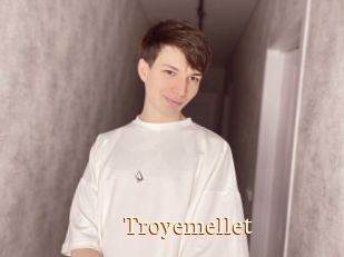 Troyemellet