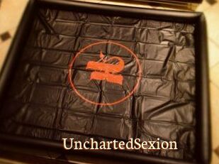 UnchartedSexion