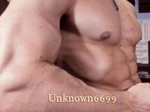 Unknown6699